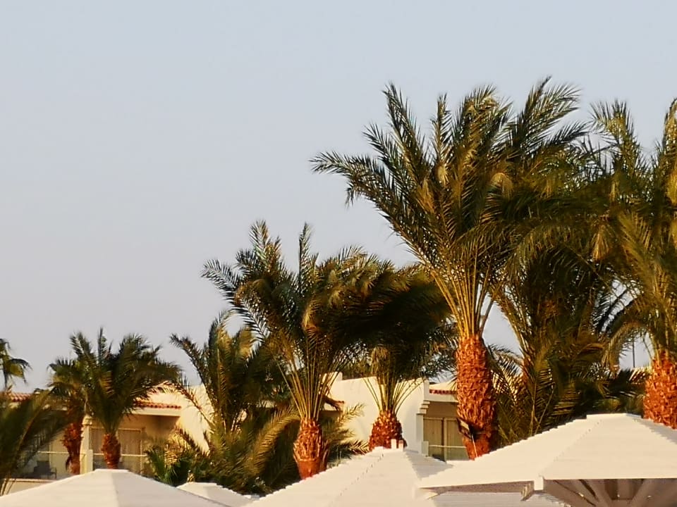 Ausblick Amarina Abu Soma Resort & Aquapark