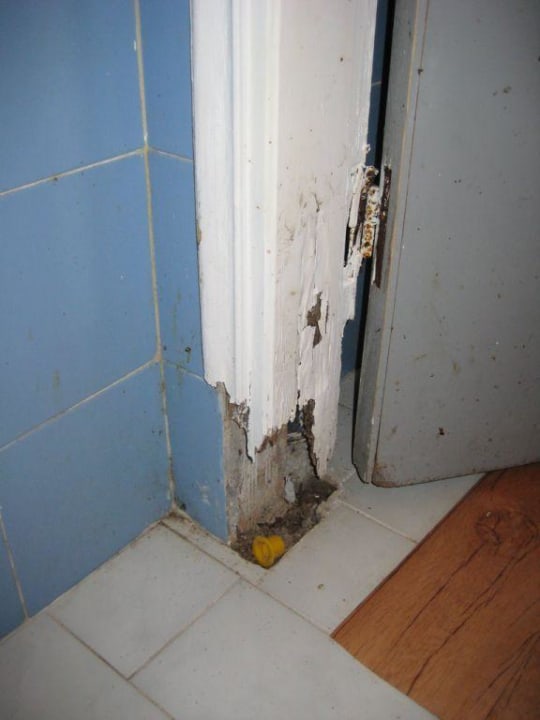 Toilette am Pool - verfaulter Türstock Hotel Golden Odyssey