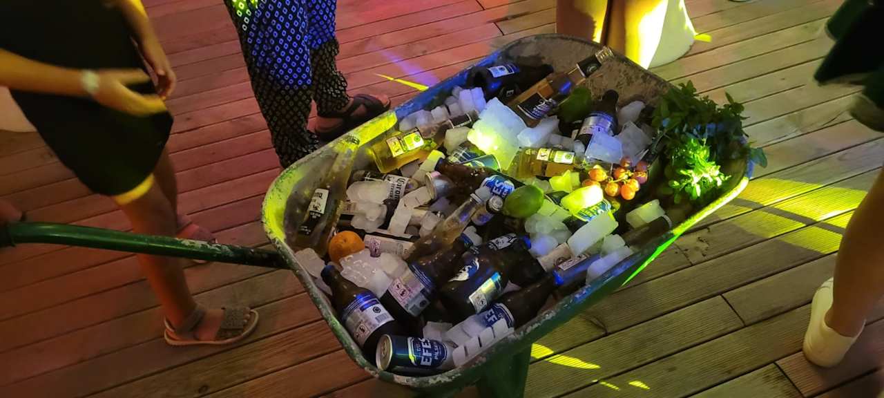 Strand Seashell Vega