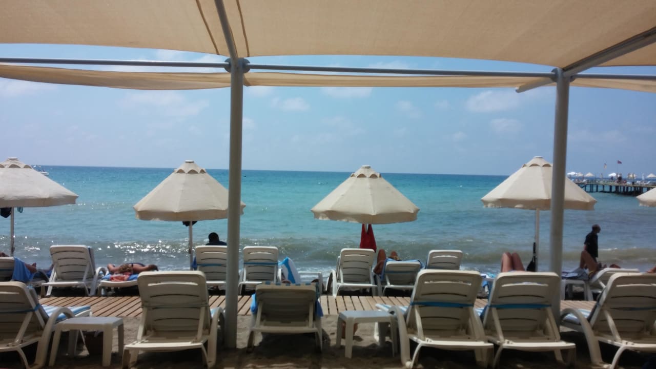 Algen im Meer Long Beach Alanya