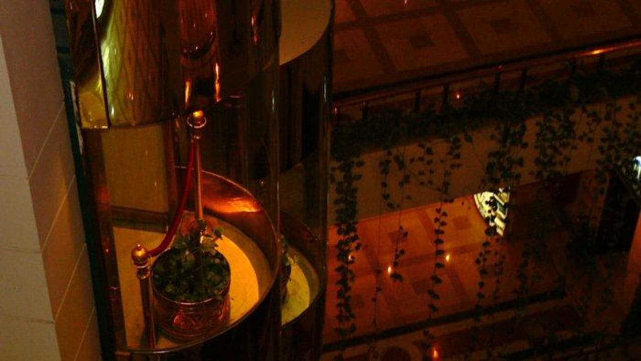 Winda hotelowa Dexon Roma Hotel