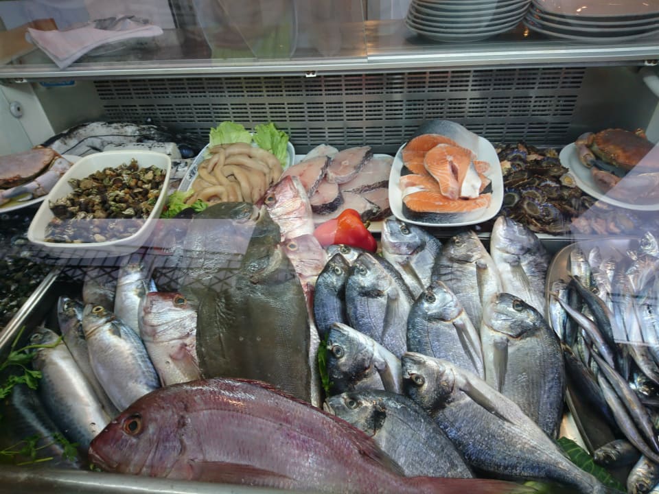 Gastro Sentido Galosol