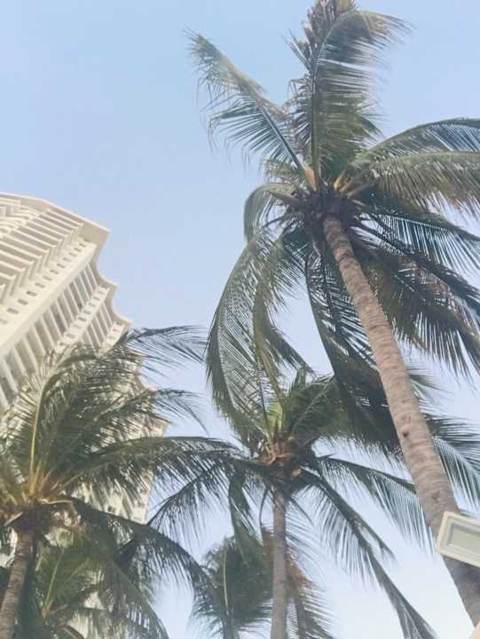 Sonstiges Hotel La Palapa