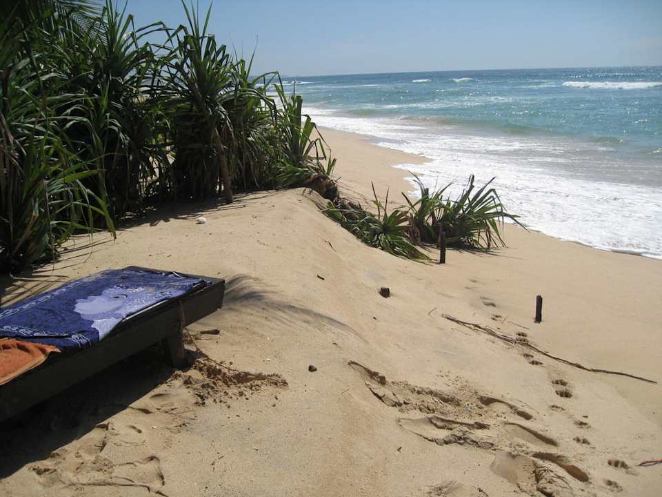 Strand Hotel Haus am Meer Wilde Ananas