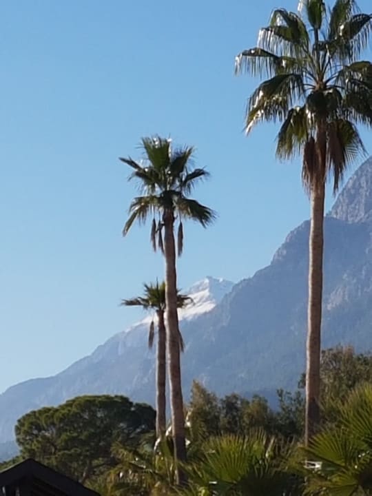 Ausblick Mirage Park Resort