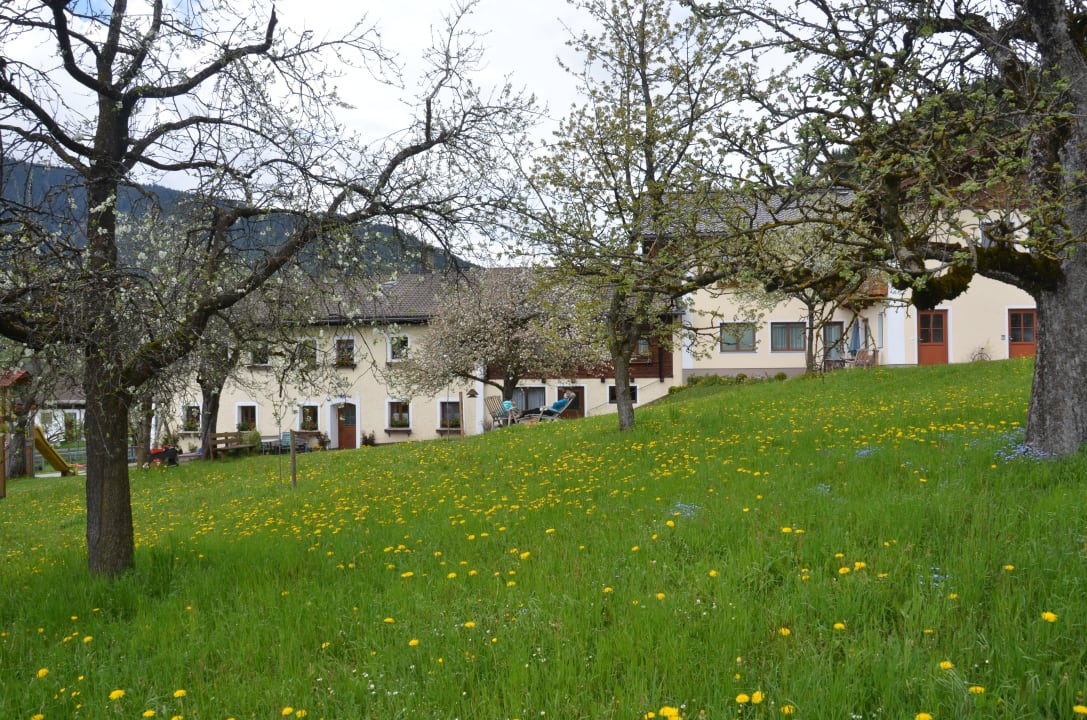 Gartenansicht Romantische Appartements Sinnhubbauer