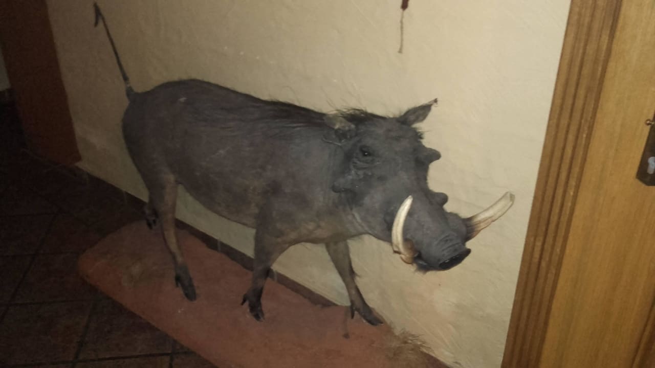 Zuhause der Jäger Hotel-Restaurant Prechtlhof