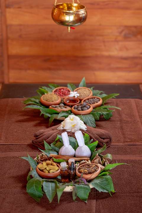 Sonstiges Celestia Ayurveda Resort