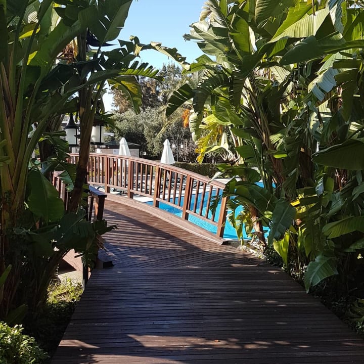 Pool Sunis Kumköy Beach Resort Hotel & Spa