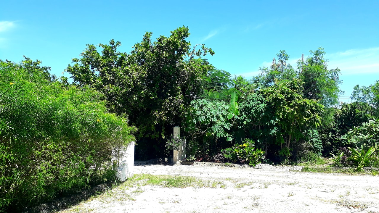 Sonstiges Spice Island Hotel & Resort