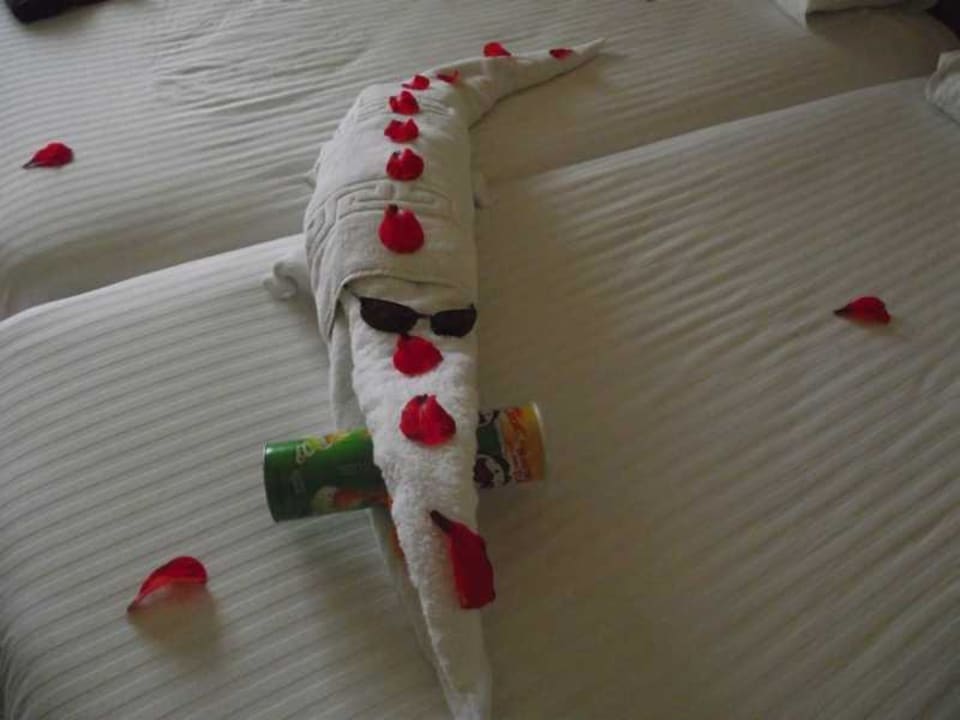 Hungriges Krokodil Pickalbatros Alf Leila Wa Leila Resort - Neverland Hurghada