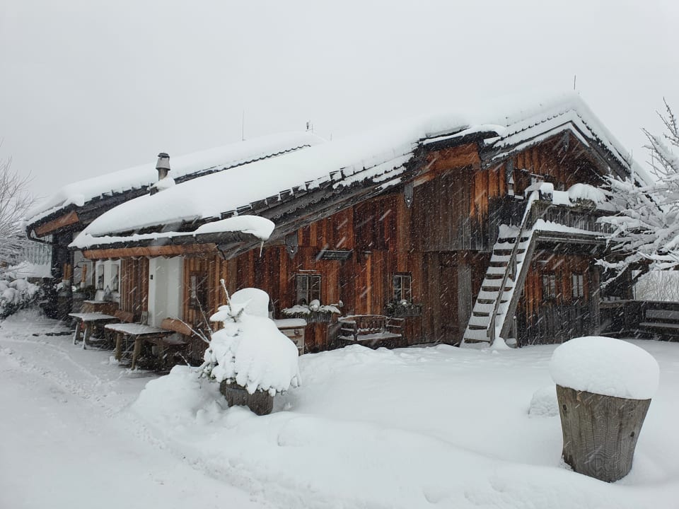 Gastro PRIESTEREGG Premium ECO Resort