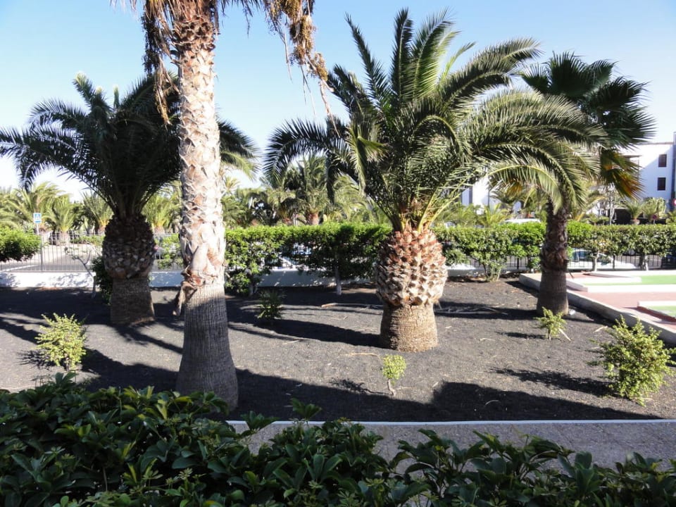 Schön angelegte Gärten Hotel Floresta