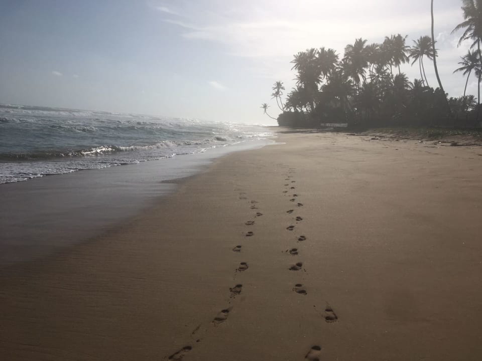 Strand Hotel Haus am Meer Wilde Ananas