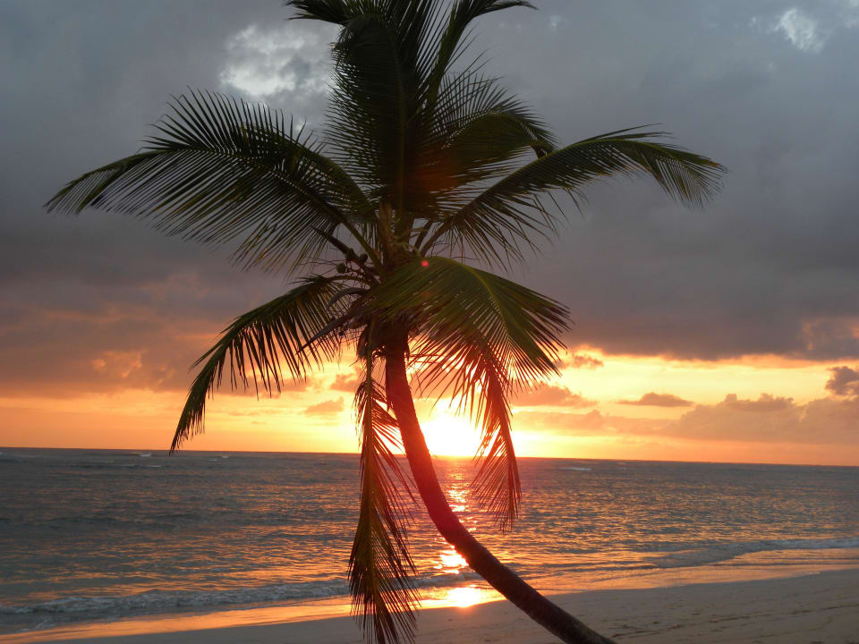 Sonnenaufgang Grand Sirenis Punta Cana Resort & Aquagames
