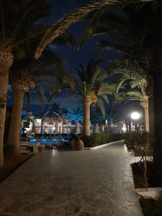 Gartenanlage Sol Marina Beach