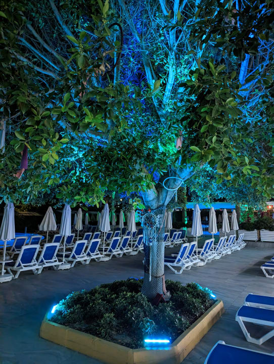 Gartenanlage Hane Family Resort