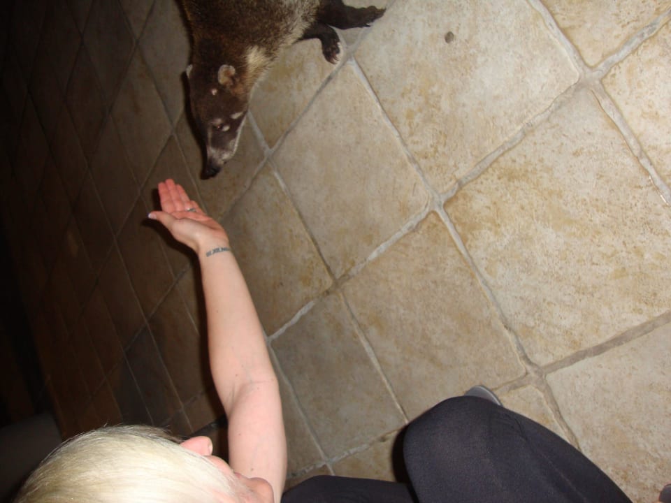 Hotel Catalonia Playa Maroma Catalonia Playa Maroma