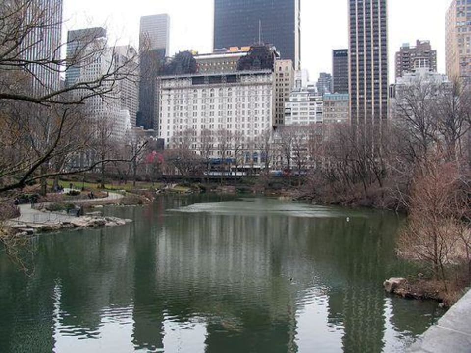 Vom Park aus The Plaza