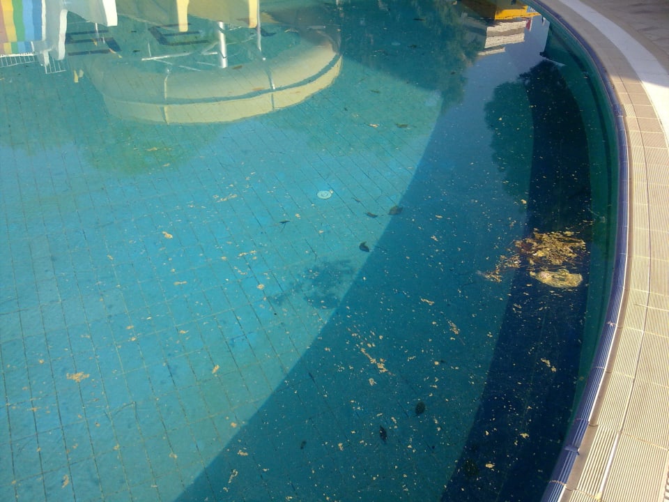 Ekel Kinderpool Holiday Point Hotel Spa & Wellness Side Alegria Hotel & Spa - Adults only +16