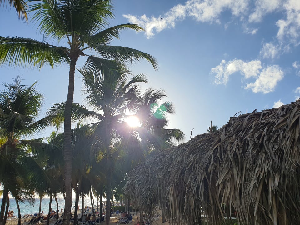 Ausblick Hotel Viva Dominicus Beach by Wyndham - All Inclusive Resort