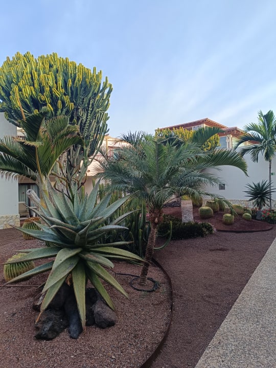 Außenansicht Alua Suites Fuerteventura