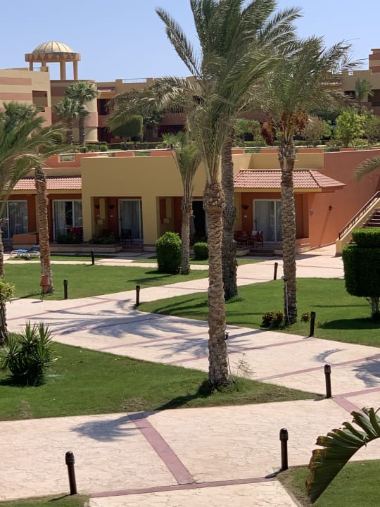 Ausblick Malikia Resort Abu Dabbab