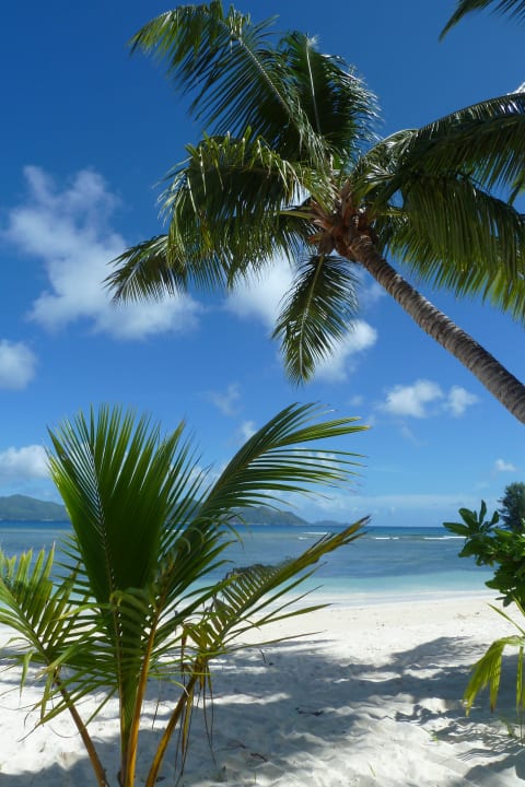 Strand La Digue Island Lodge La Digue Island Lodge