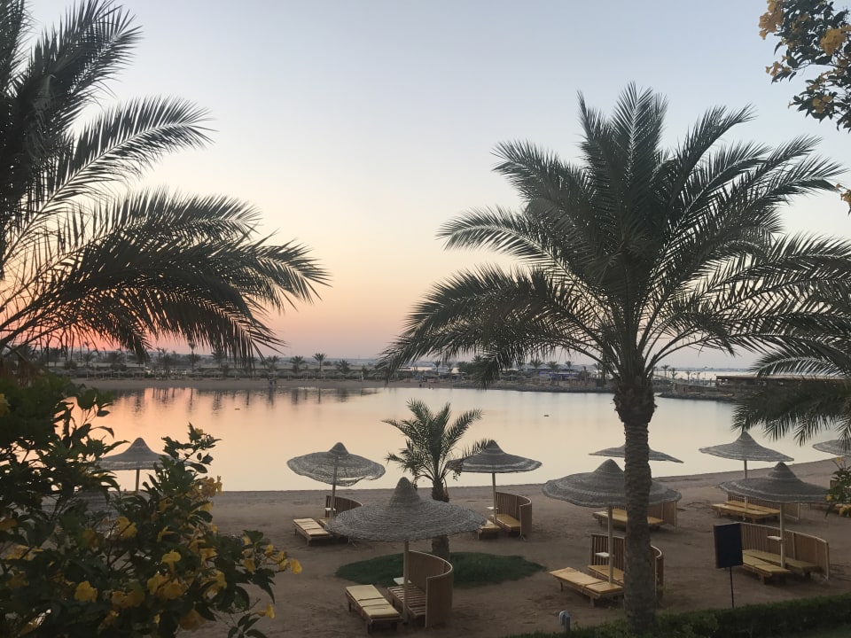 Ausblick Desert Rose