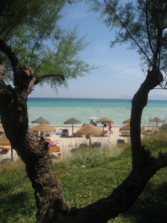 Ausblick vom Hotelgarten zum Strand Iberostar Waves Playa de Muro