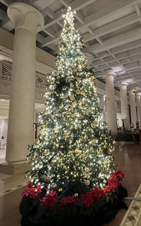 Sonstiges Hotel Sheraton Soma Bay Resort