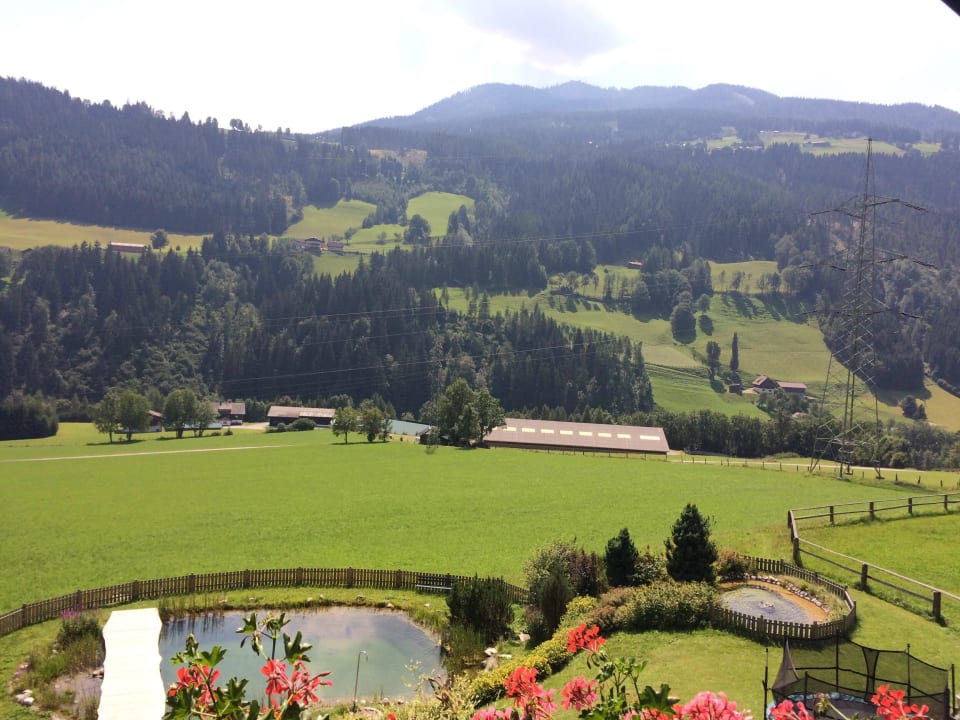 Schwimmteich Hotel Neuwirt