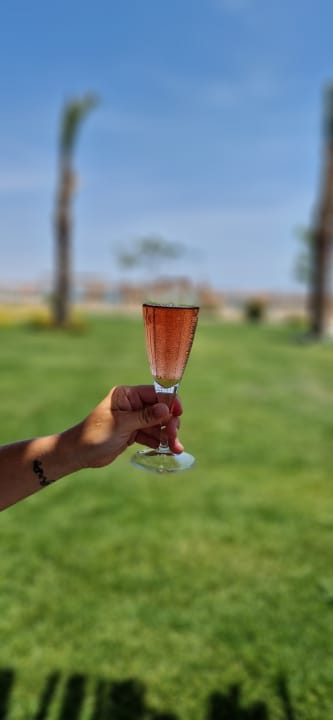 Ausblick Steigenberger Resort Ras Soma