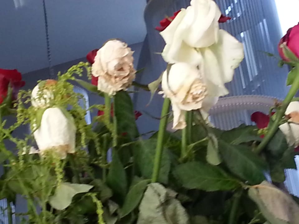 Blumenarrangement DoubleTree by Hilton Antalya-Kemer