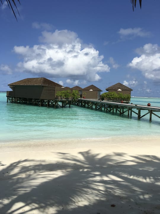 Strand Meeru Maldives Resort Island