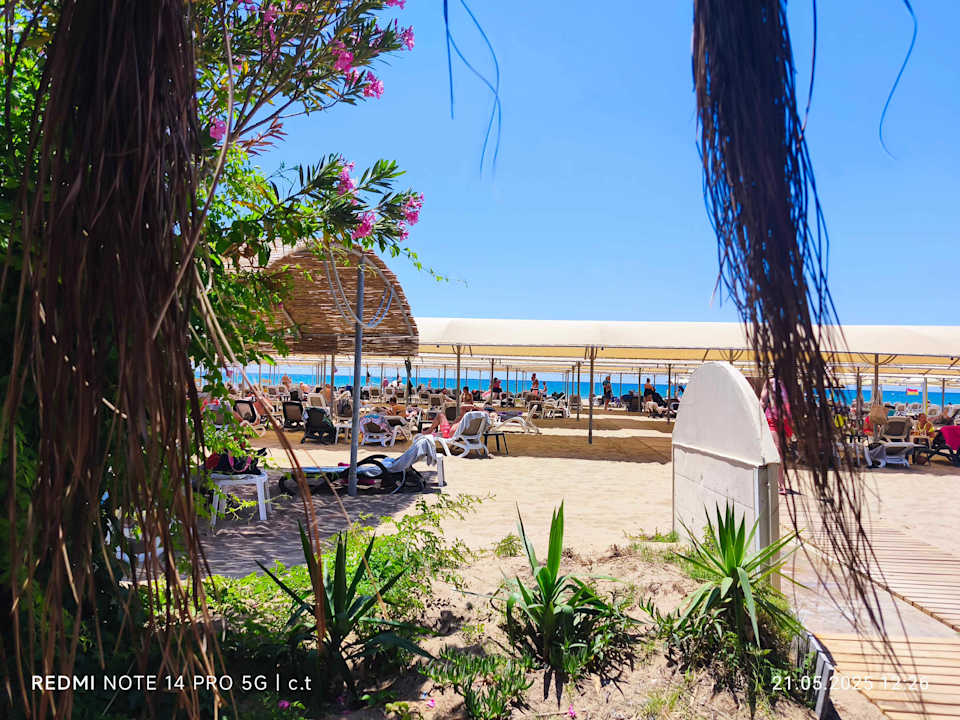 Strand Castival Hotel