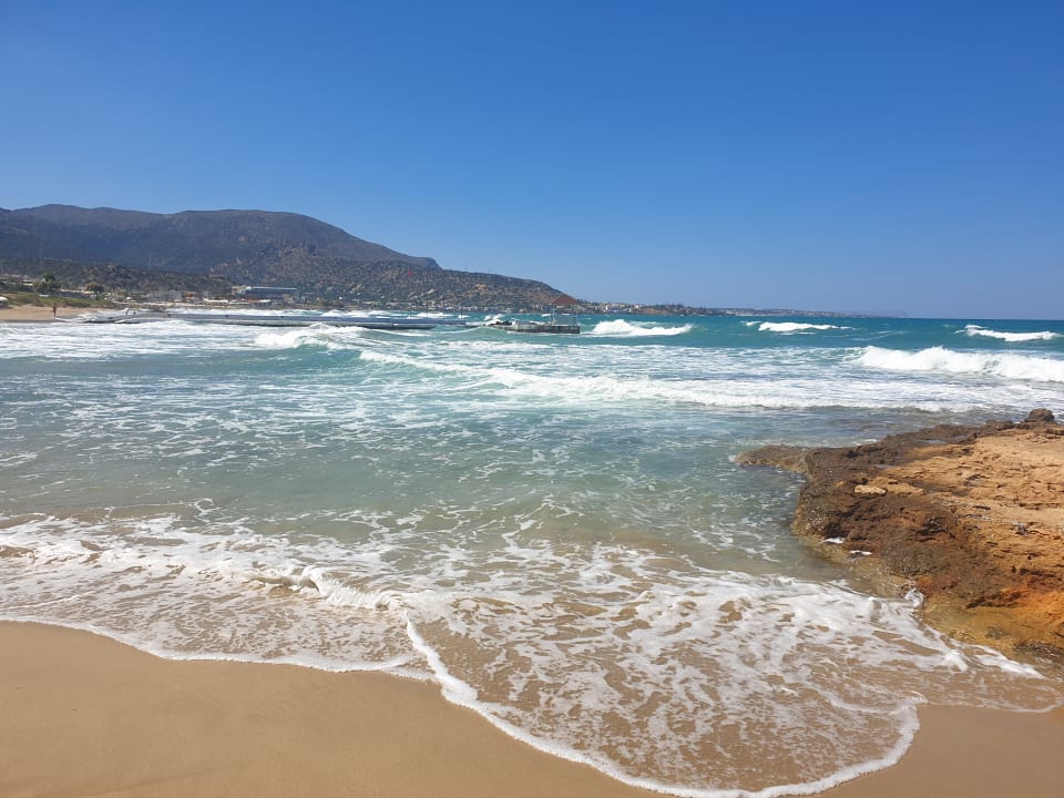 Strand Cactus Mare - Adults only