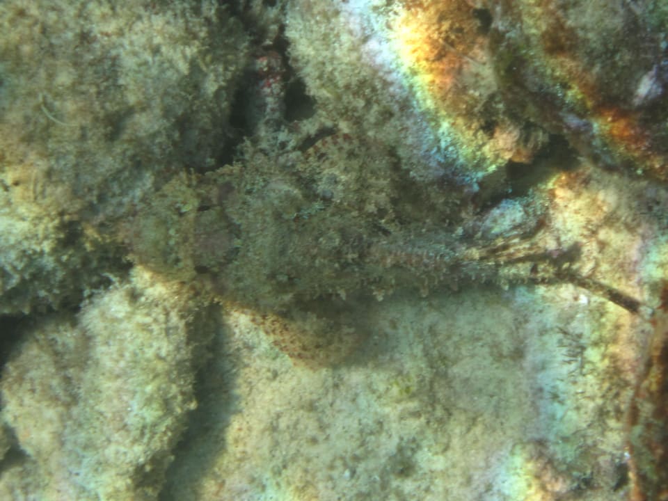 Steinfisch Adaaran Select Hudhuran Fushi - Premium All Inclusive