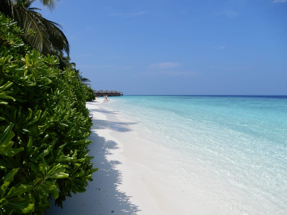 Strand Fihalhohi Maldives