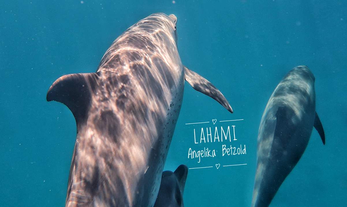 Strand Lahami Bay Beach Resort