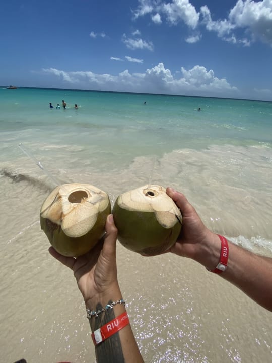 Gastro Hotel Riu Bambu