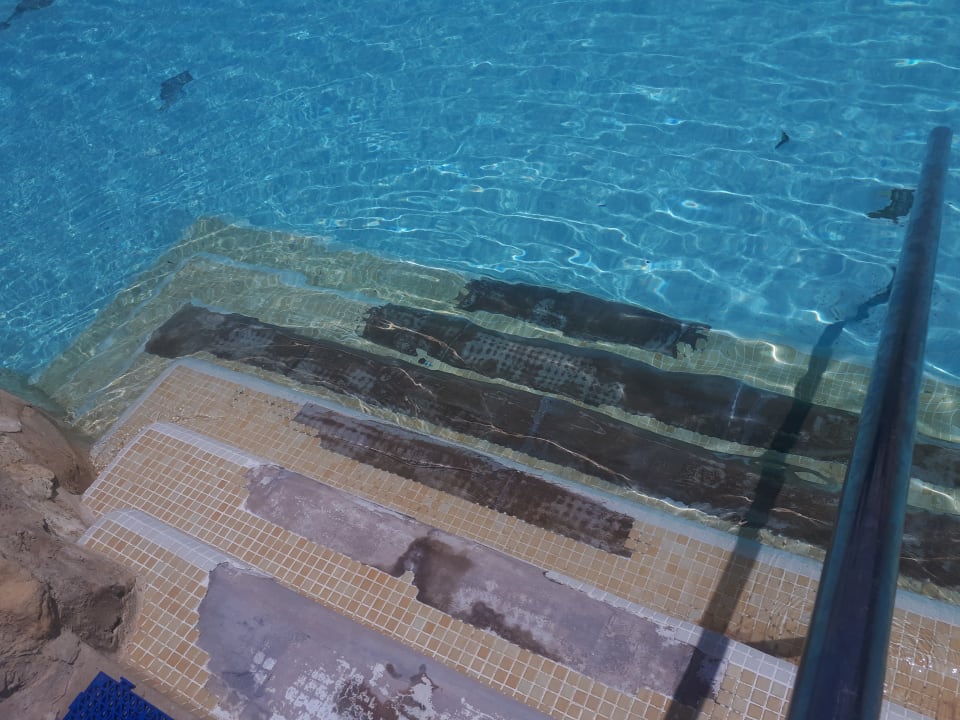 Pool Makadi Spa - Adults only