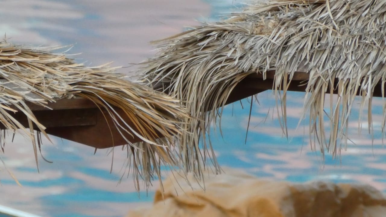 Pool Sentido Caribbean World Soma Bay