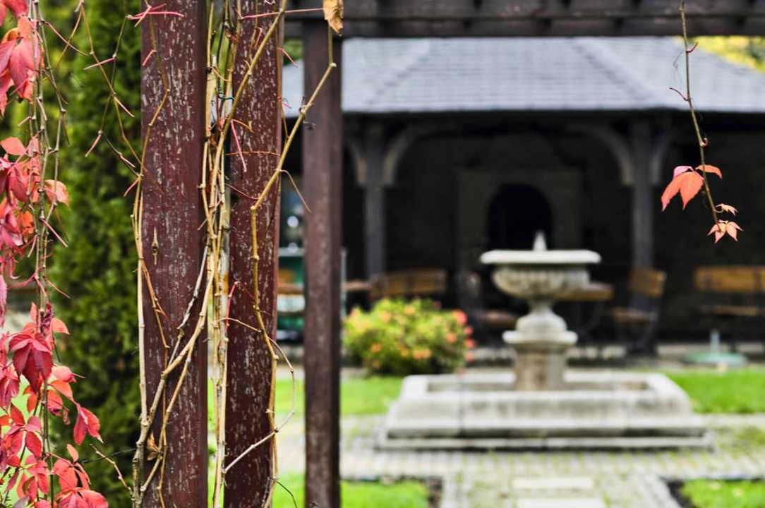 Fontanna Hotel Turowka