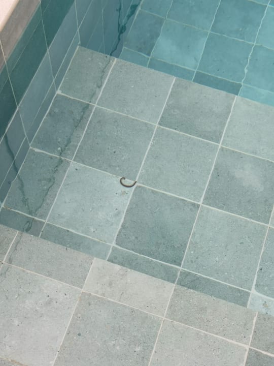 Pool The Nest Resort