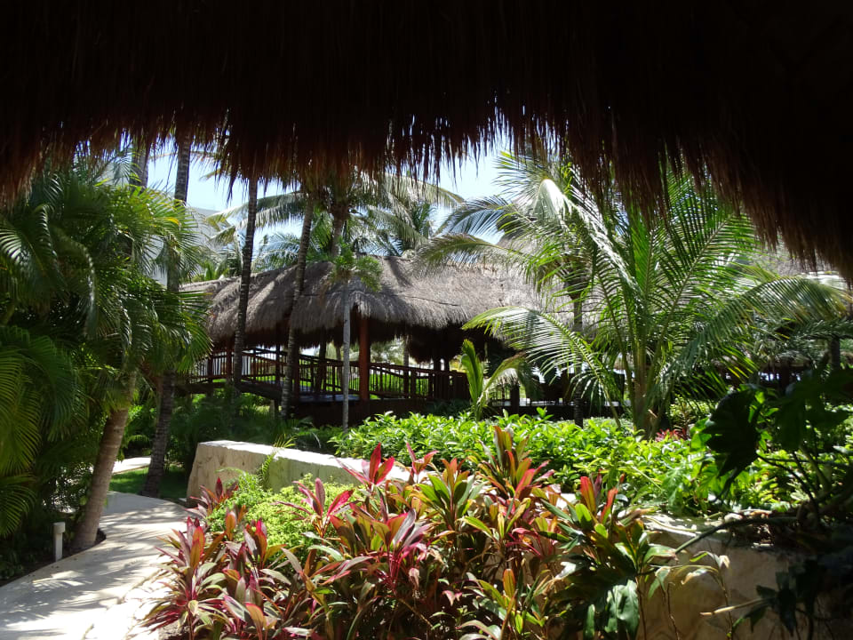 Gartenanlage Akumal Bay Beach & Wellness Resort
