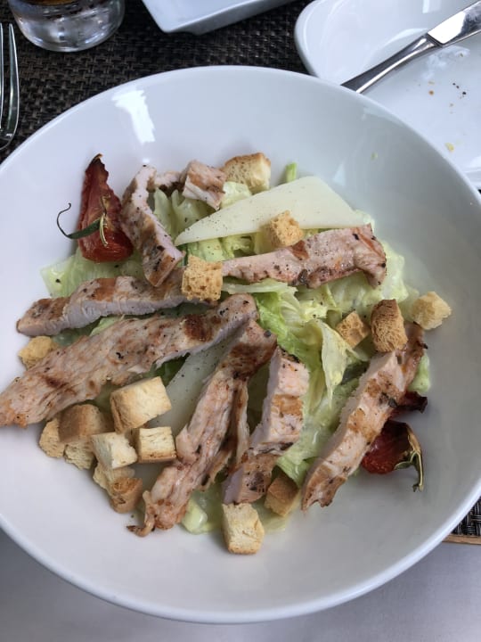 Gastro Acanthus Cennet Barut Collection