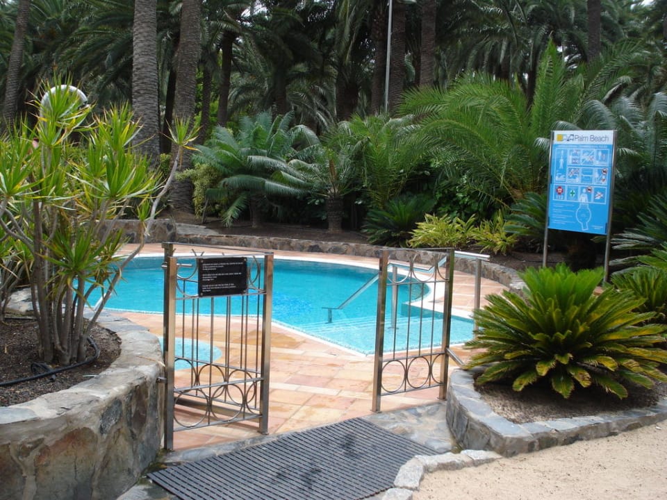 Warmer Pool mit Salzwasser Seaside Hotel Palm Beach