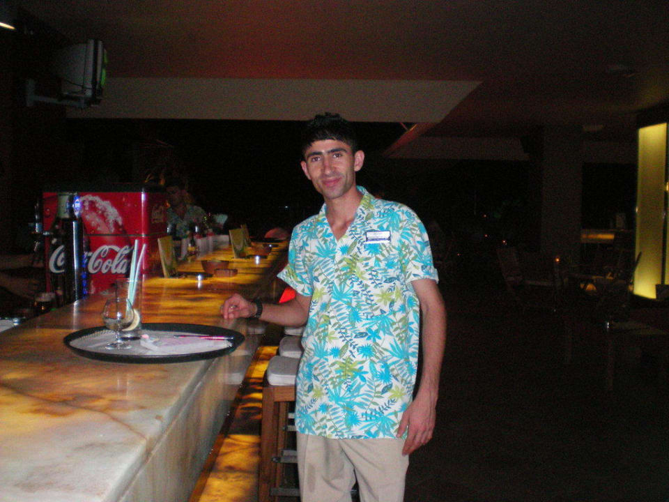 Barkeeper Side Star Elegance