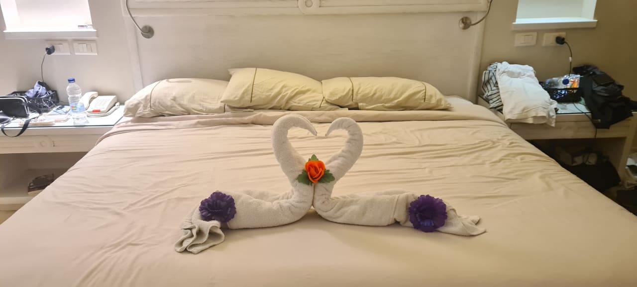 Zimmer Makadi Spa - Adults only